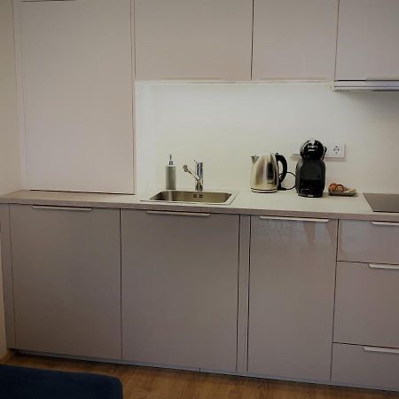 Cozy Nest Apartment In Kaunas Esterno foto