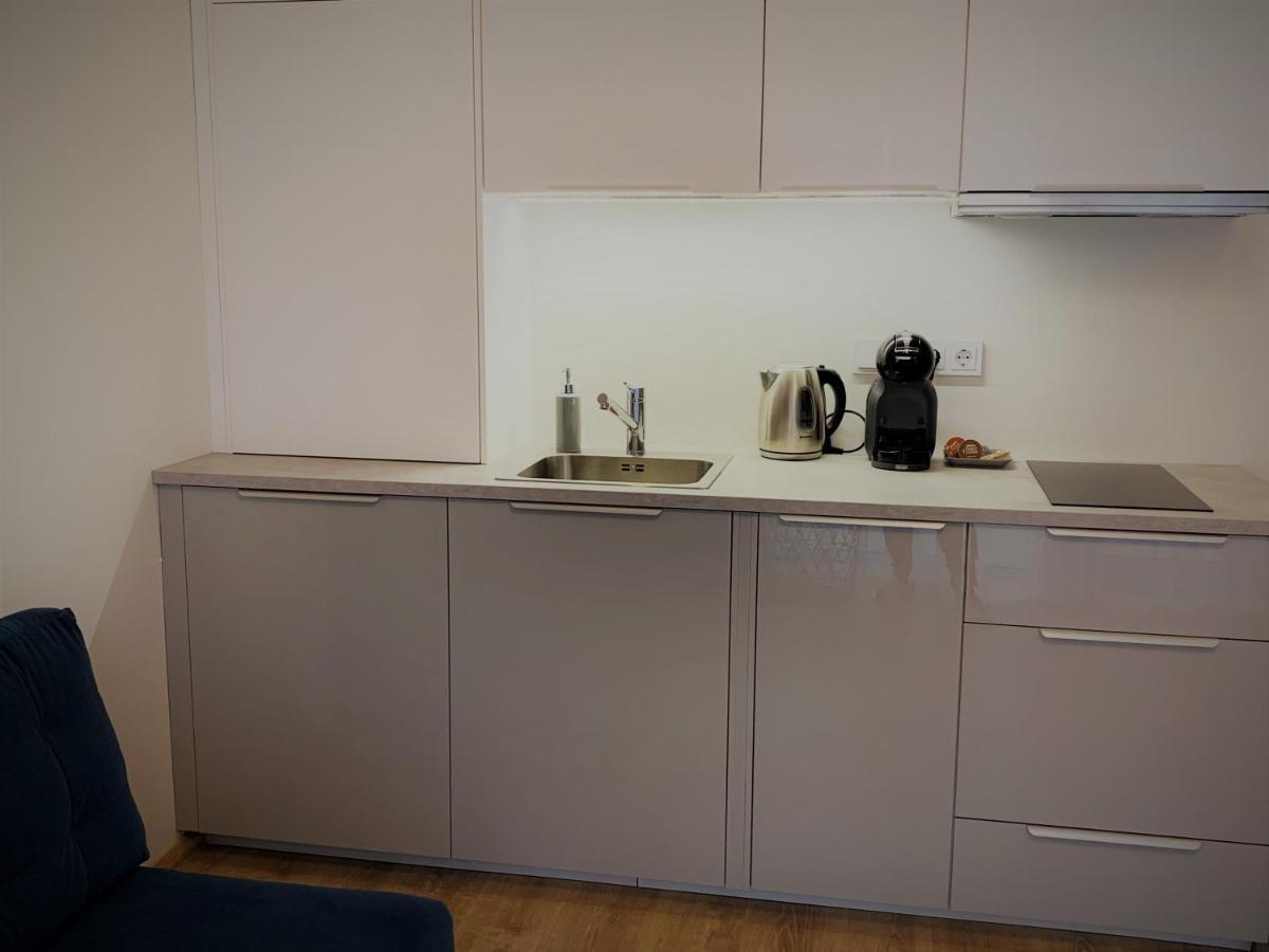 Cozy Nest Apartment In Kaunas Esterno foto